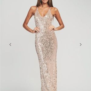 NWT: retrofete Marie dress - rose gold